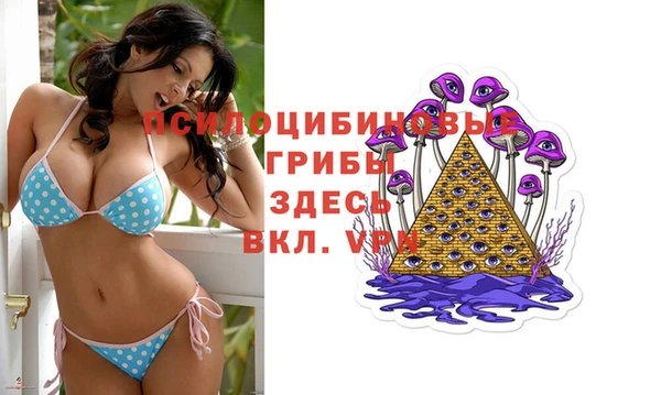 ALPHA-PVP Аркадак