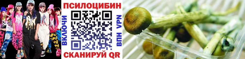 Галлюциногенные грибы Psilocybe  Калязин 
